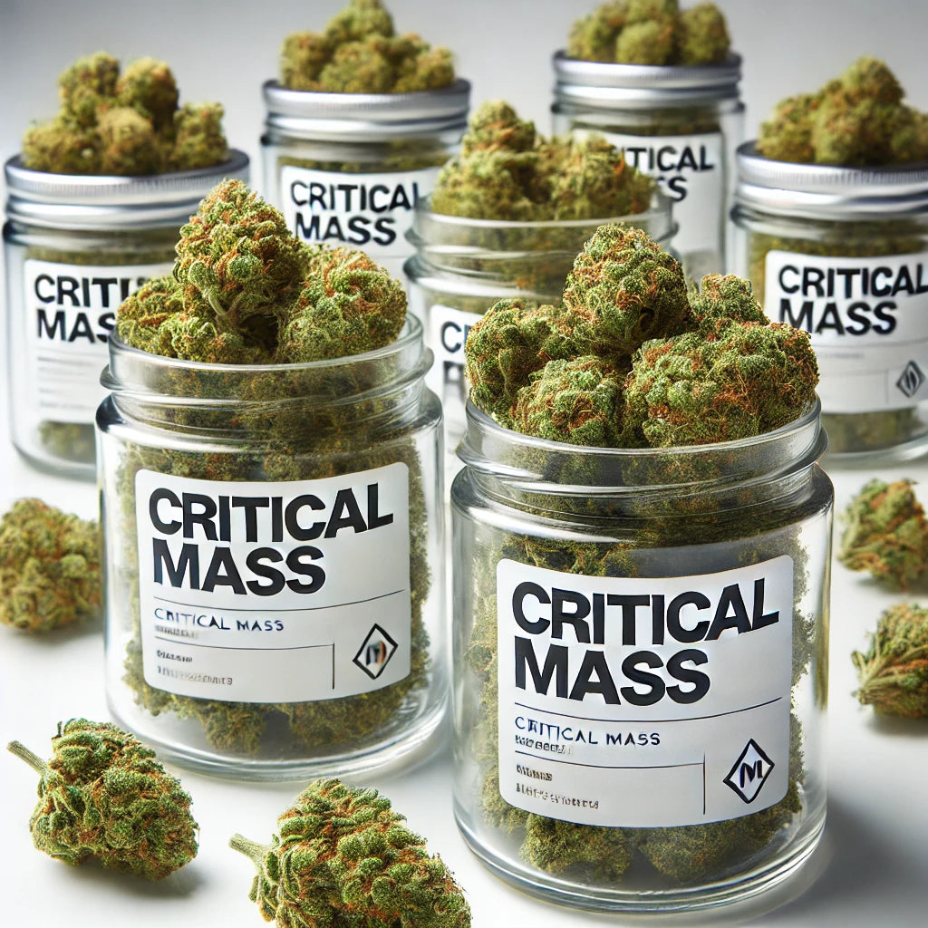 Fleurs de Critical Mass H4