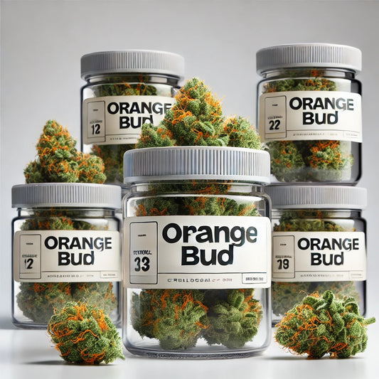 Fleurs d'Orange Bud