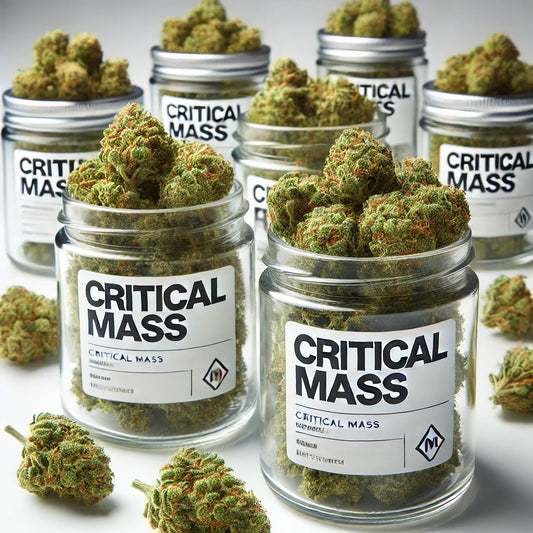 Fleurs de Critical Mass